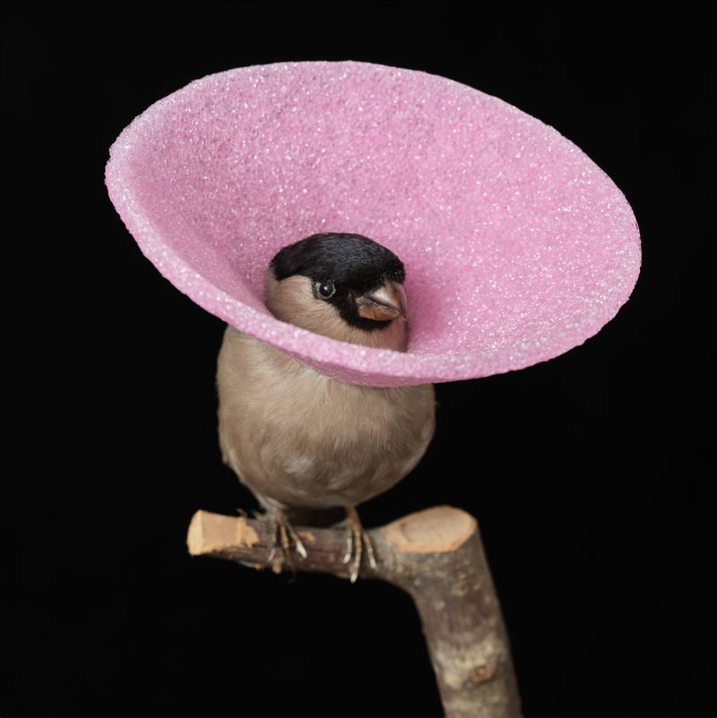 SINA HEFFNER 06#2024, BEMÄNTELT, 60 x 60 cm, Fine Art Print auf Alu Dibond